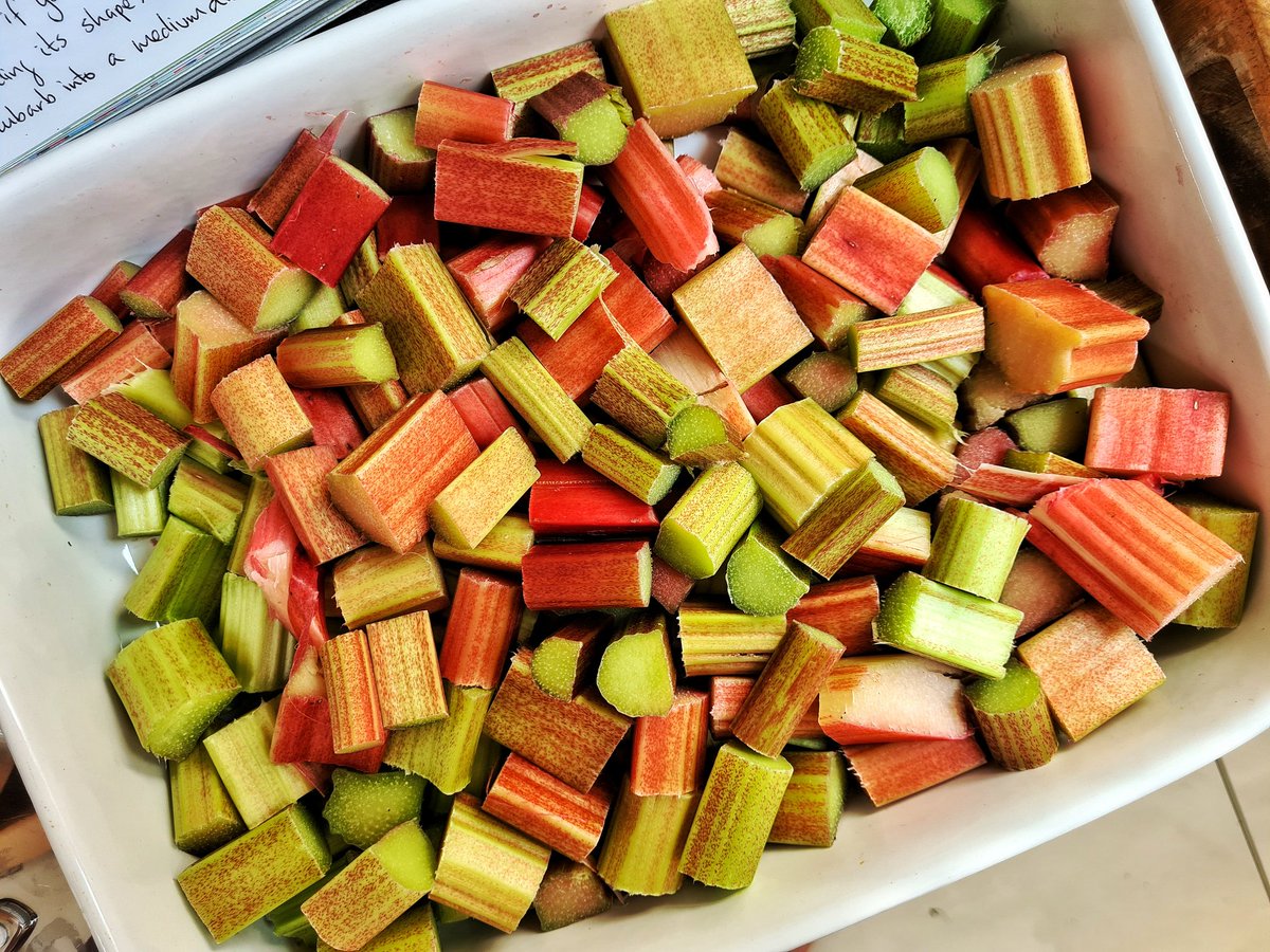 Storage_Mark's tweet image. The rhubarb crumble (with walnuts) that never saw the inside of a kitchen... 😋
BBQ'd this evening, so thought I'd have a play by making this with rhubarb from the garden, doing all the cooking on the BBQ, and turned out great, even if I do say so myself! 🤓👌
.
#CookingNerd