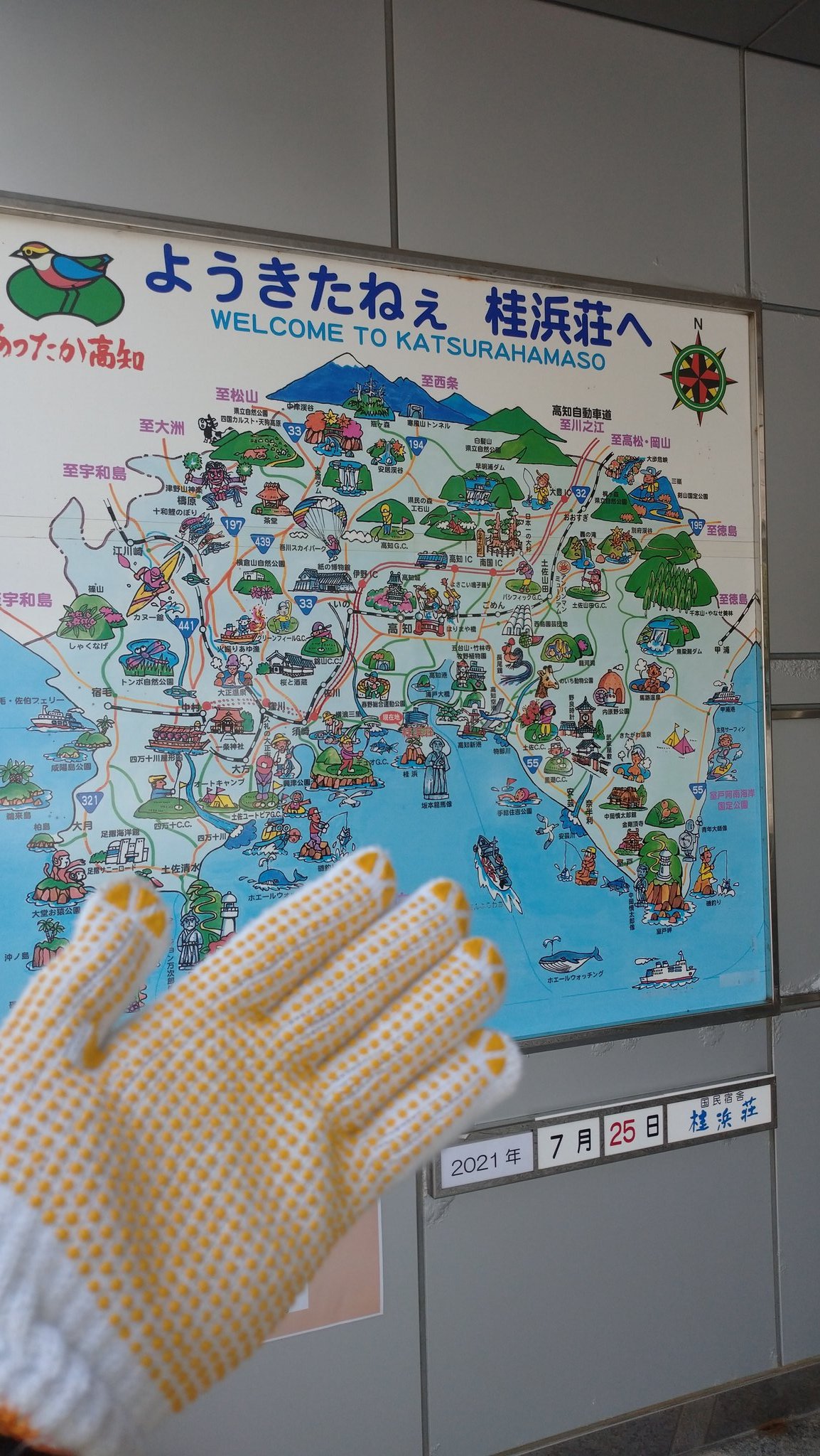 国民宿舎桂浜荘 Twitter Search Twitter