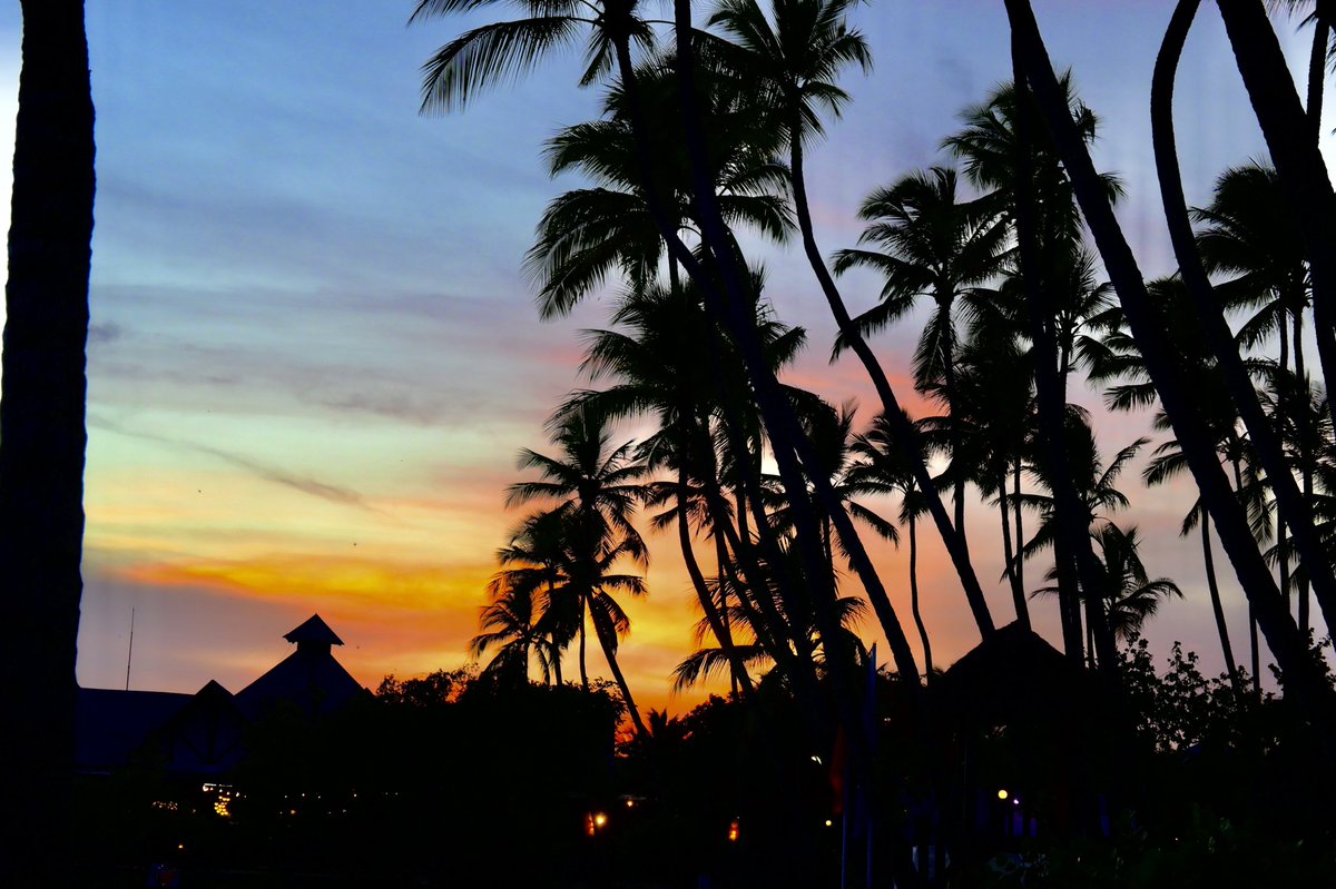 Katy Schaefer tweet media