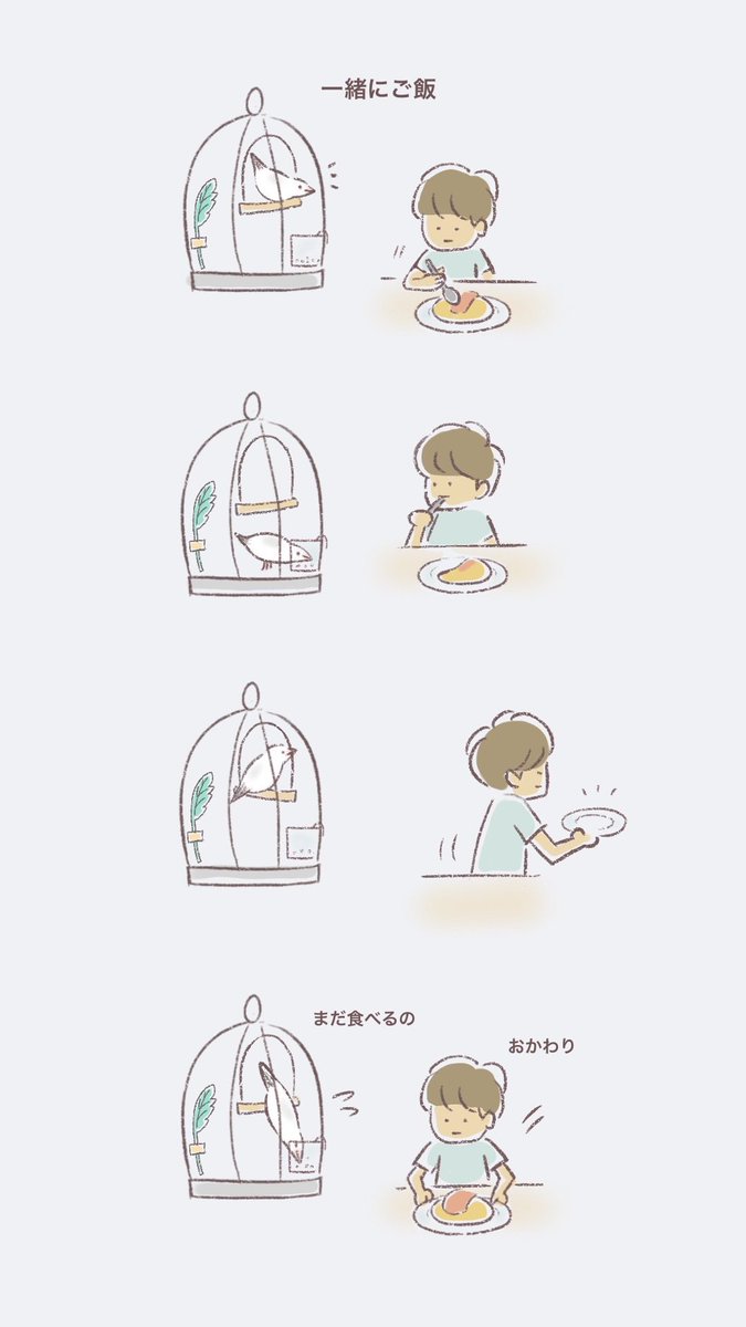 komugi_chan55's tweet photo. 一緒に食べたい

He wants to eat together https://t.co/fvlQ5g605S
