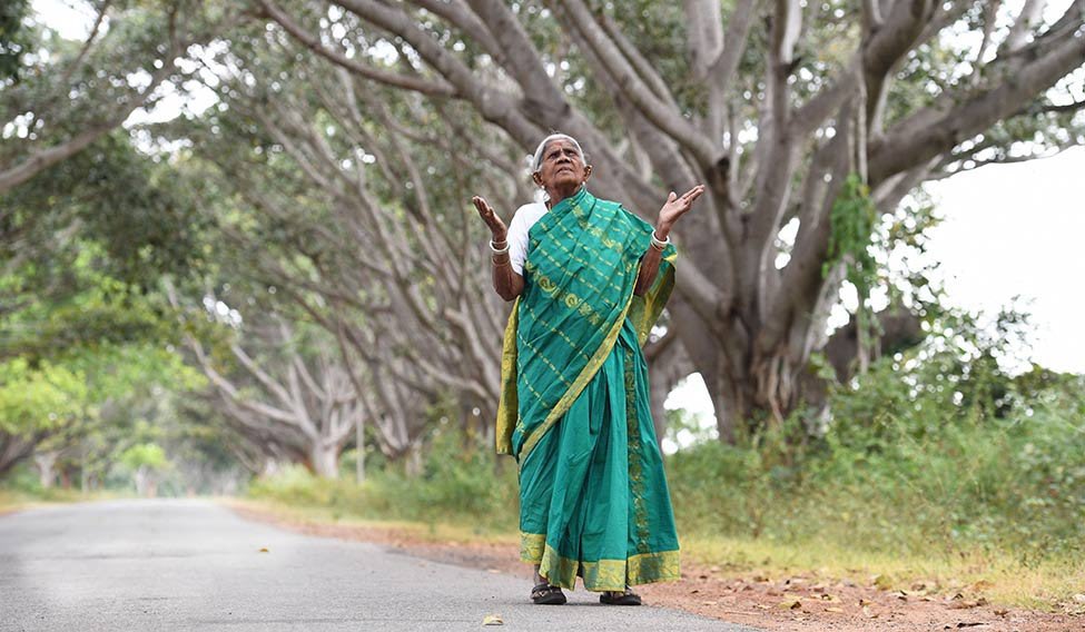 IndiaTales7's tweet photo. Meet 109 year old Saalumarada Thimmakka, she planted 385 banyan trees and 8000 other trees over 80 years all by herself.

A true environmentalist from Karnataka, Awarded the Padma Shri in 2019. https://t.co/vA5ho4FsFU