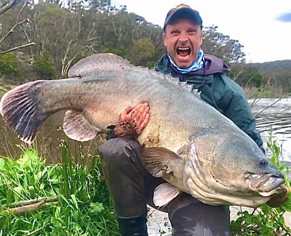 TotalNativeDVD's tweet photo. INSANE!  @andymcgovernfishing just caught this 135cm 110 pounder - one of the biggest impoundment land based cod on record 🏆🏆🏆🏆🏆🏆
Huge congrats mate - you’ve caught some monsters but this one is next level! https://t.co/U3QSifCUhe