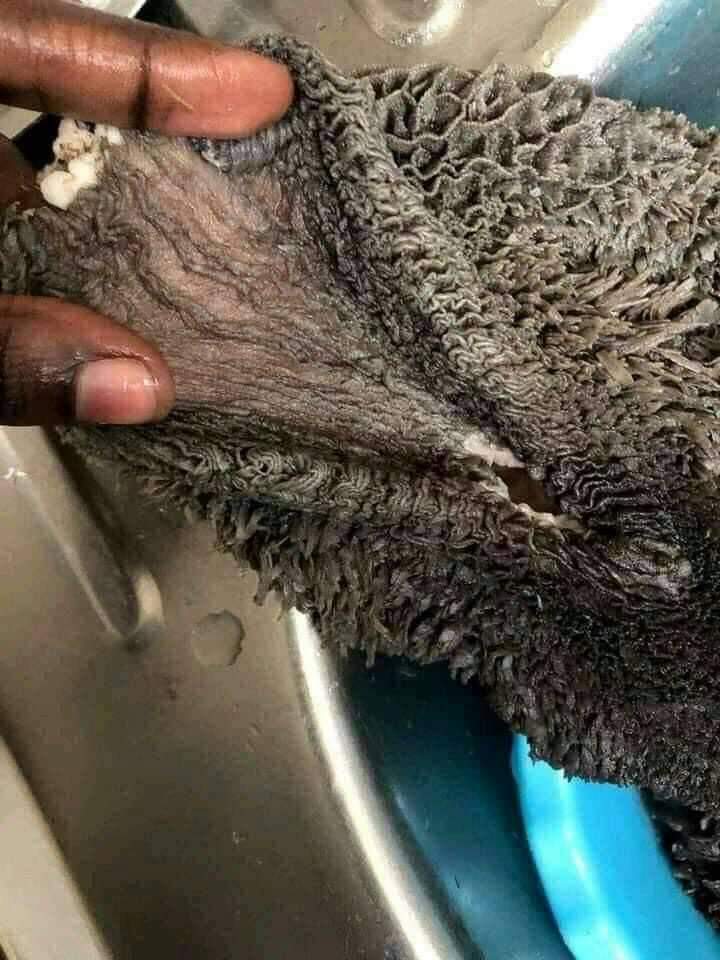MrMpande14's tweet photo. Iyooo. Bathong it looks like something I know 🤦🤭🤭 https://t.co/lfXE2i9RP6