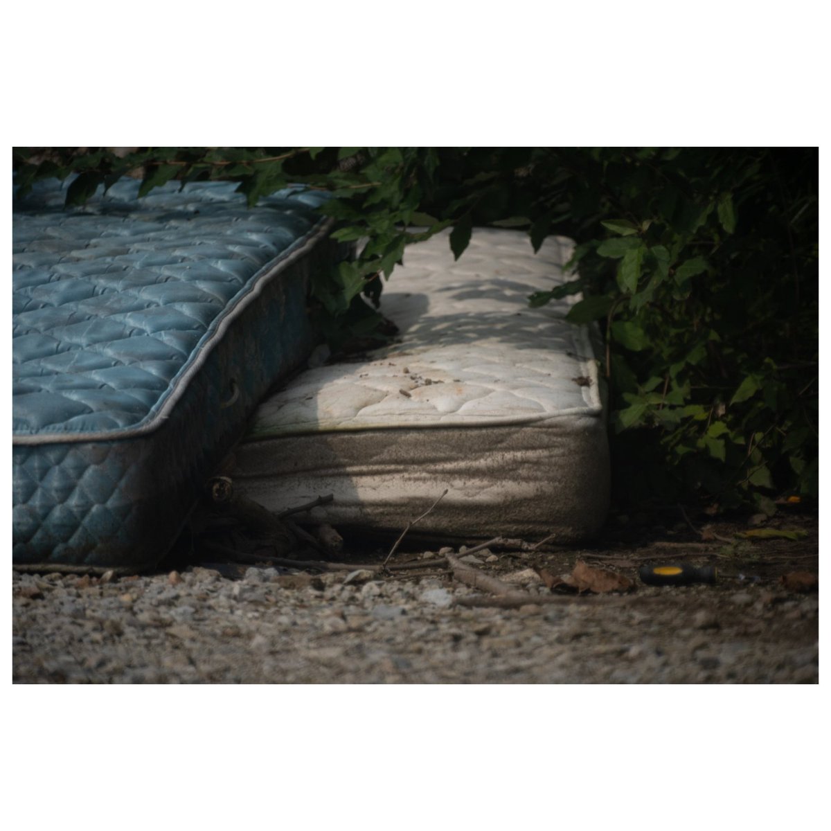 ChrlesBruwicz tweet media