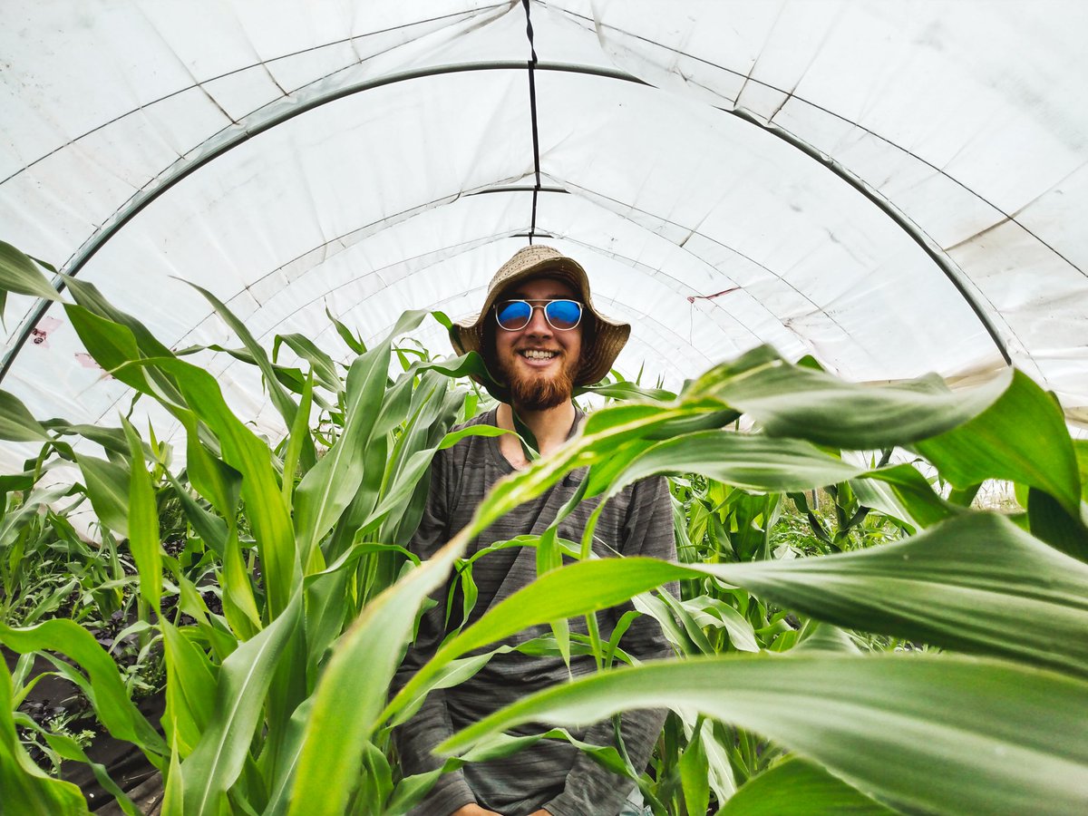 HopeOrganics's tweet photo. Coming this fall, corn! We are very excited to have fresh corn for roasting and BBQing. Mmm corn! 🌽
To see what's available and in store now go to https://t.co/IeBZVoL395
#hopefarmorganics #princegeorgebc #princegeorgebccanada #cityofpg #foodiepg #organiccorn #localcorn https://t.co/BQRaqxK6Qm