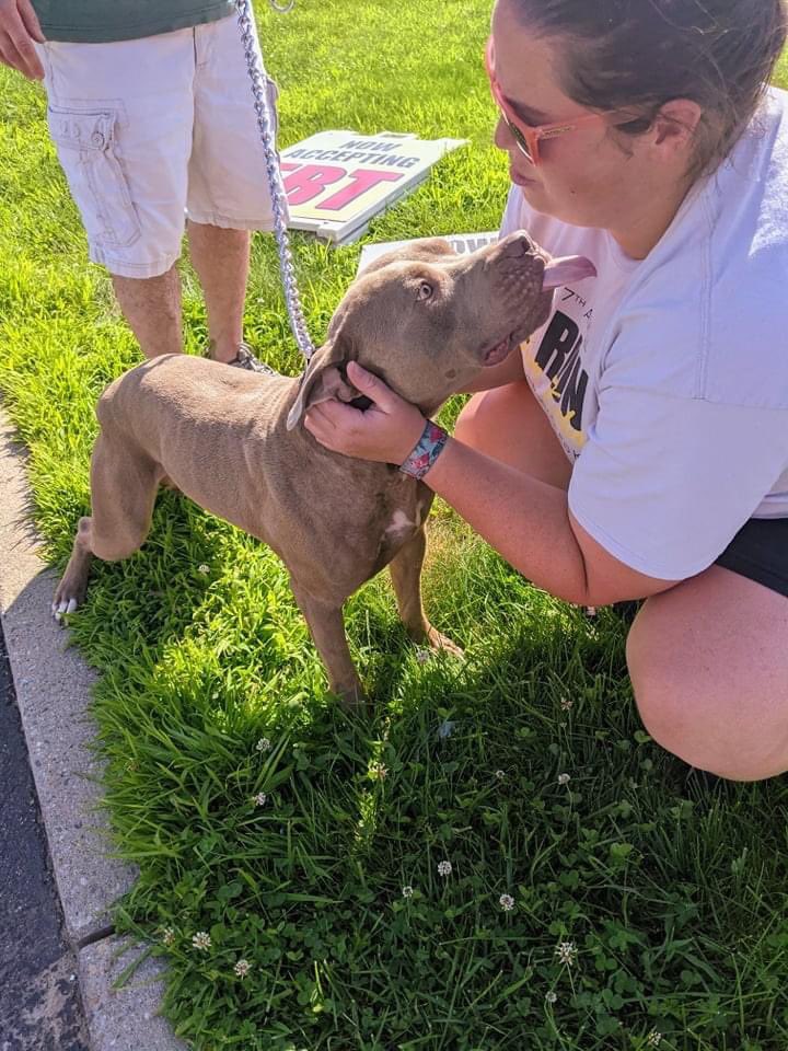 OSIRIS 118921 is a free boy! with <a href="/PoundHoundsResQ/">Pound Hounds ResQ</a> #fosteringsaveslives