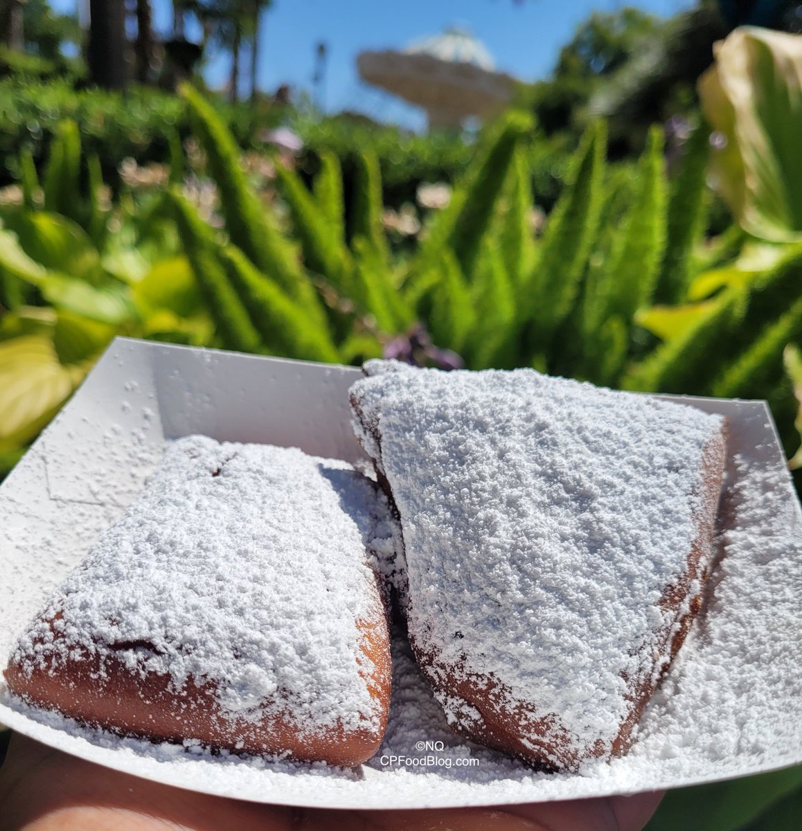 CGAFoodBlog's tweet image. Down, down do your thang. 

Jambalaya and beignets for #TasteofOrleans at #CAGreatAmerica

Details: cpfoodblog.com/2021-californi…