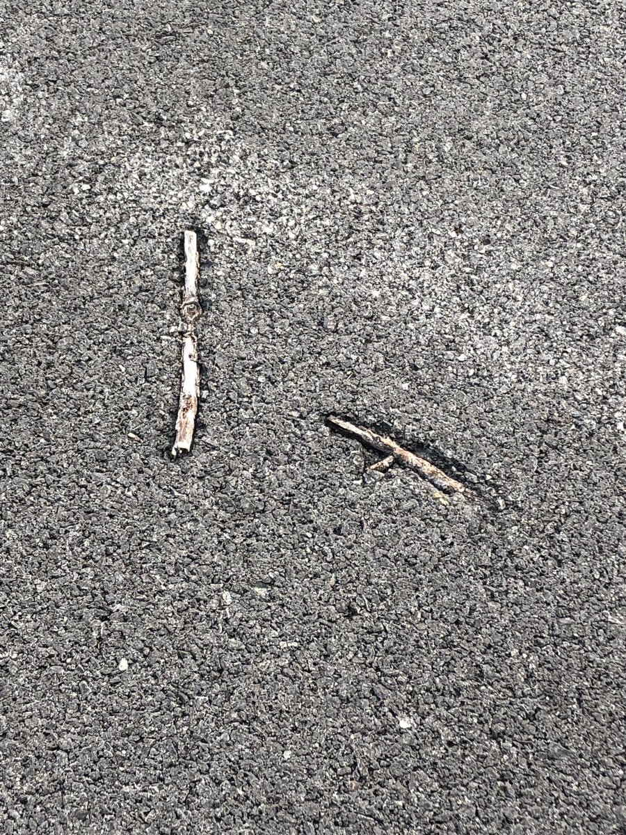 ellelljaytoo's tweet image. The #NotMyJob Award…WINNER! 

#InfrastructureProblems 🚧🦺💯