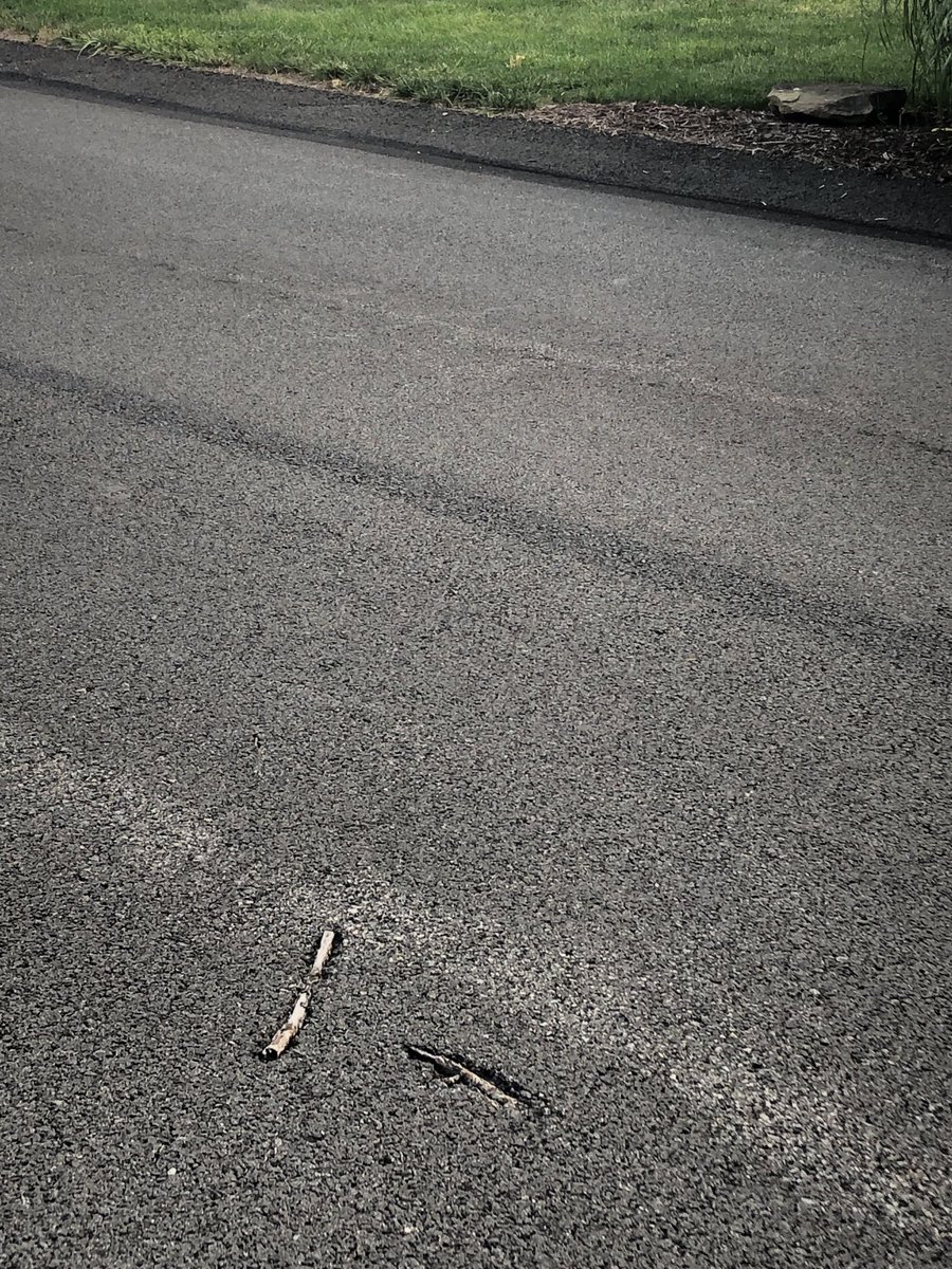 ellelljaytoo's tweet image. The #NotMyJob Award…WINNER! 

#InfrastructureProblems 🚧🦺💯