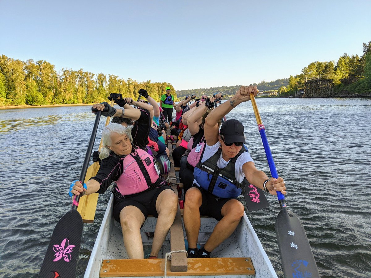 Pink Phoenix (TM) tweet media