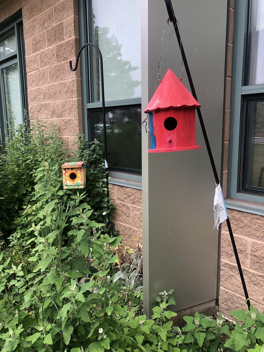 bennett_mca's tweet photo. Birdhouses painted by a 3-6 class and 6-9 class can be found in our perennial garden😊🌸🌼 #schoolgarden #learnoutside https://t.co/OWTlyQMiLB