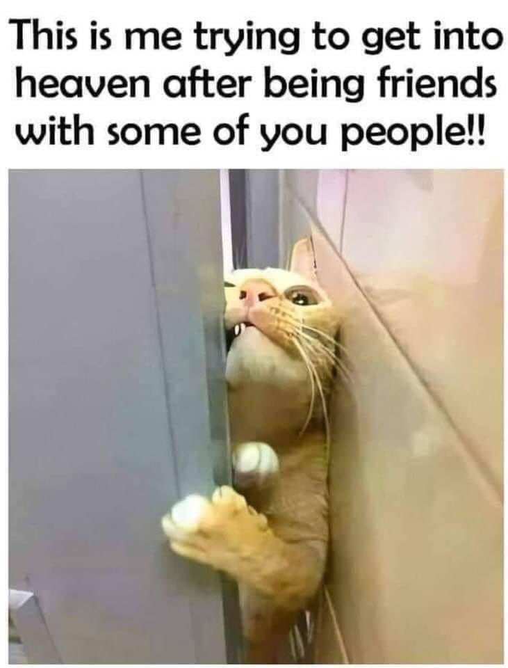 Carrie Butterwick tweet media