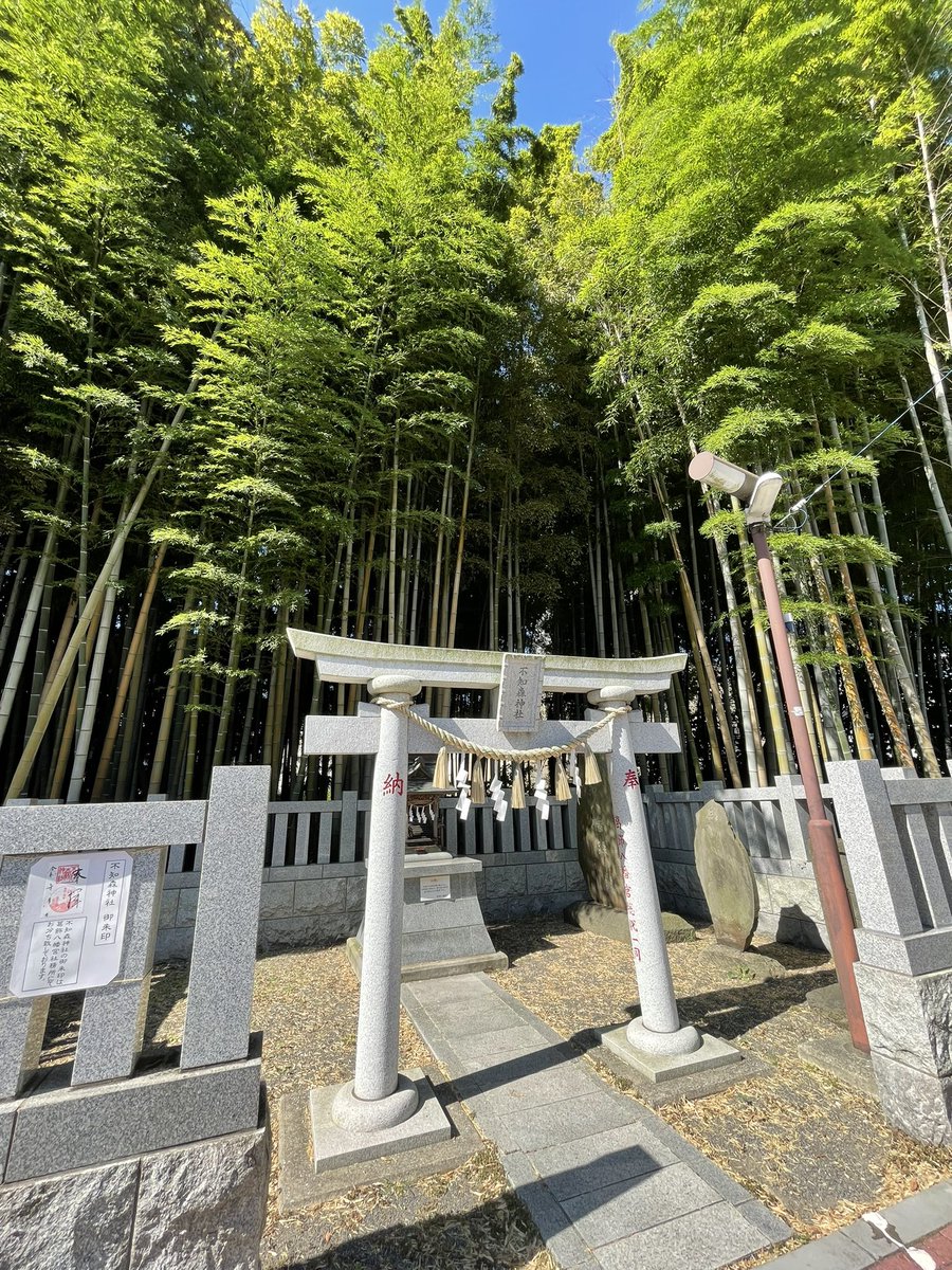 八幡の藪知らず入ってみた動画 過去の事件や伝説や水戸黄門伝説など バズーカnews 怖い話と都市伝説