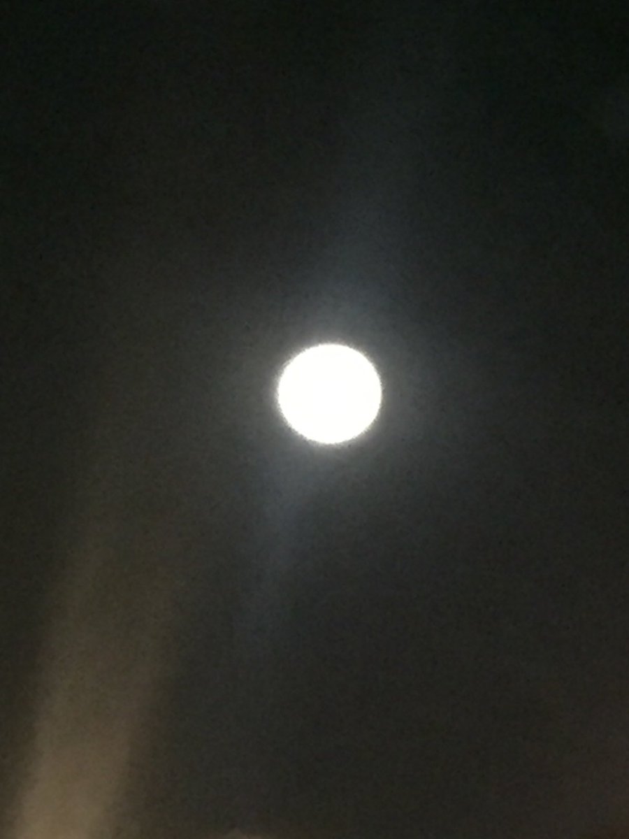 EveMarti79's tweet photo. Mi compañía 🌕❤️

#Comoteamo 💥❣️ https://t.co/Cu4M2Av9c2