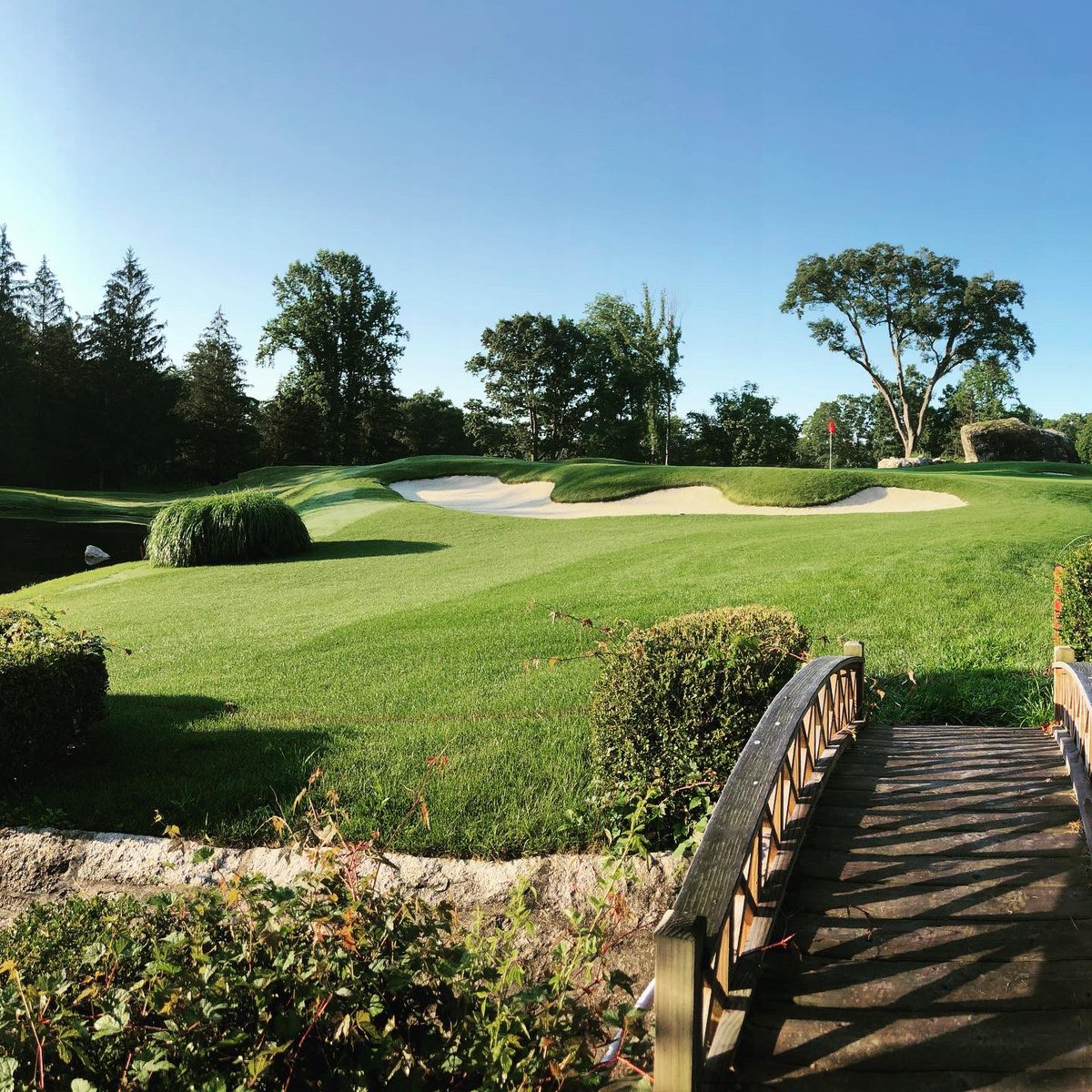 Some pics from this morning. #Golf #golfcoursephotography #golfmaintenace #golfcoursesuperintendent #fairview #golflife #turflife