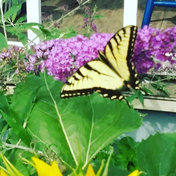 DeborahRuthBar3's tweet photo. https://t.co/lwsUU1nrhI