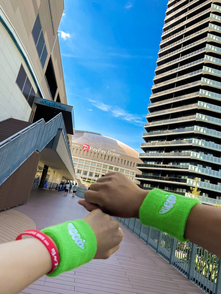 玲音 Greeeenreo Twitter