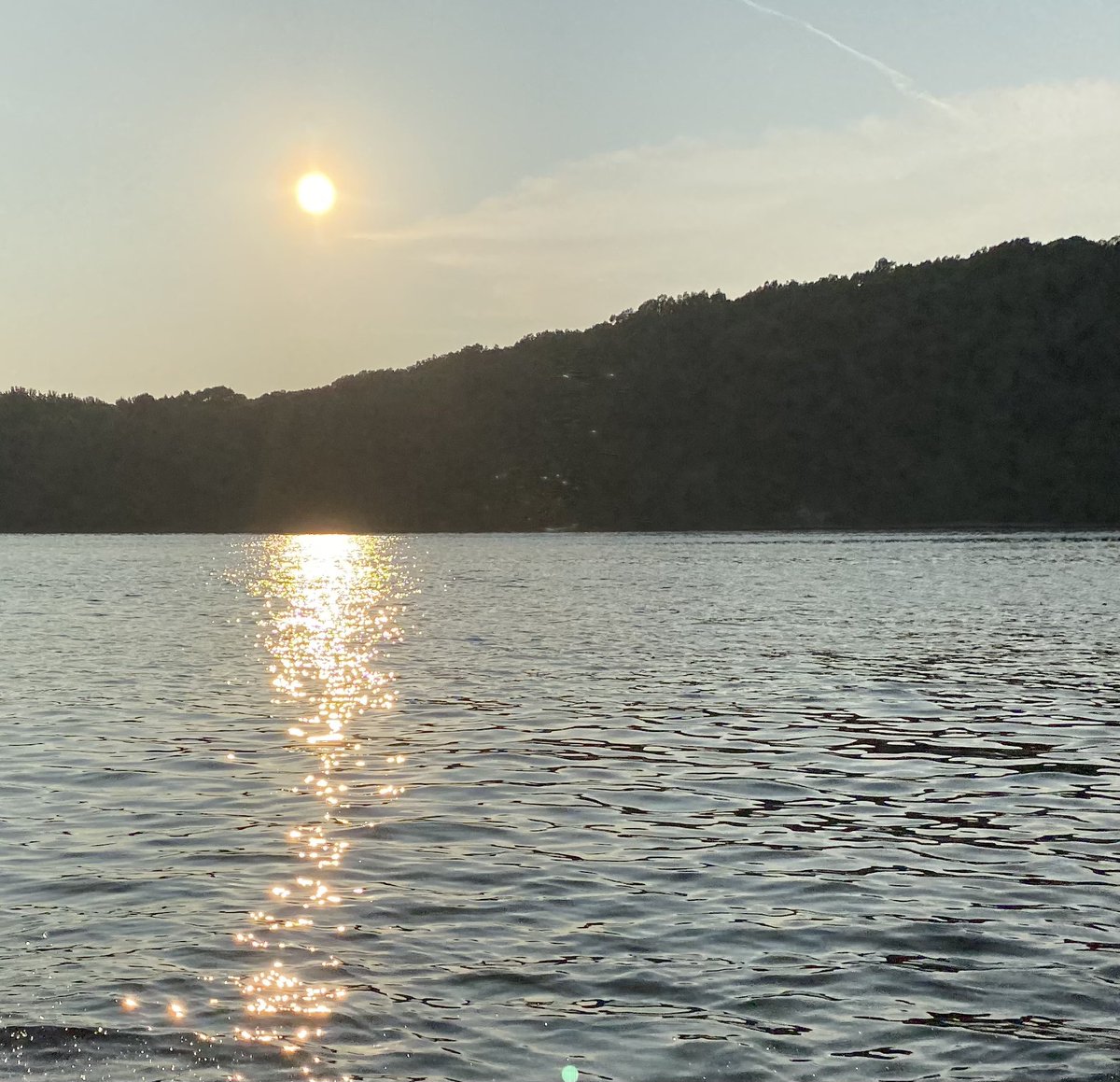 Erica Bell tweet media