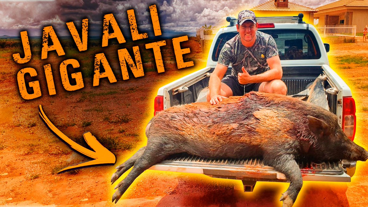 CacadadosGuapos's tweet photo. Caçada completas lá no Youtube E vamos caçar 🐗💪
https://t.co/XS3afkB2hm
#caçadadosguapos #caçadejavali #javaporco #caçadordejavali #caçandojavaporco #javali #puma357 #44Magnum #Miura1 #Boito #Magnum44 #porconomilho #controlador #hunting #wildboar #boarhunting #hoghunting https://t.co/ZeSNOLBSS1