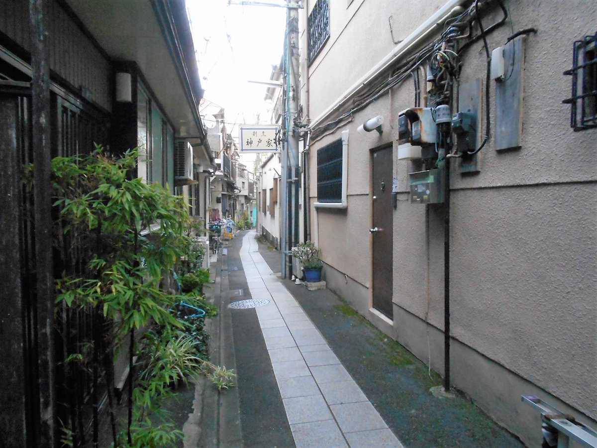 東京お散歩教室 Tokyoosanpo Twitter 東京お散歩教室 Tokyoosanpo Twitter