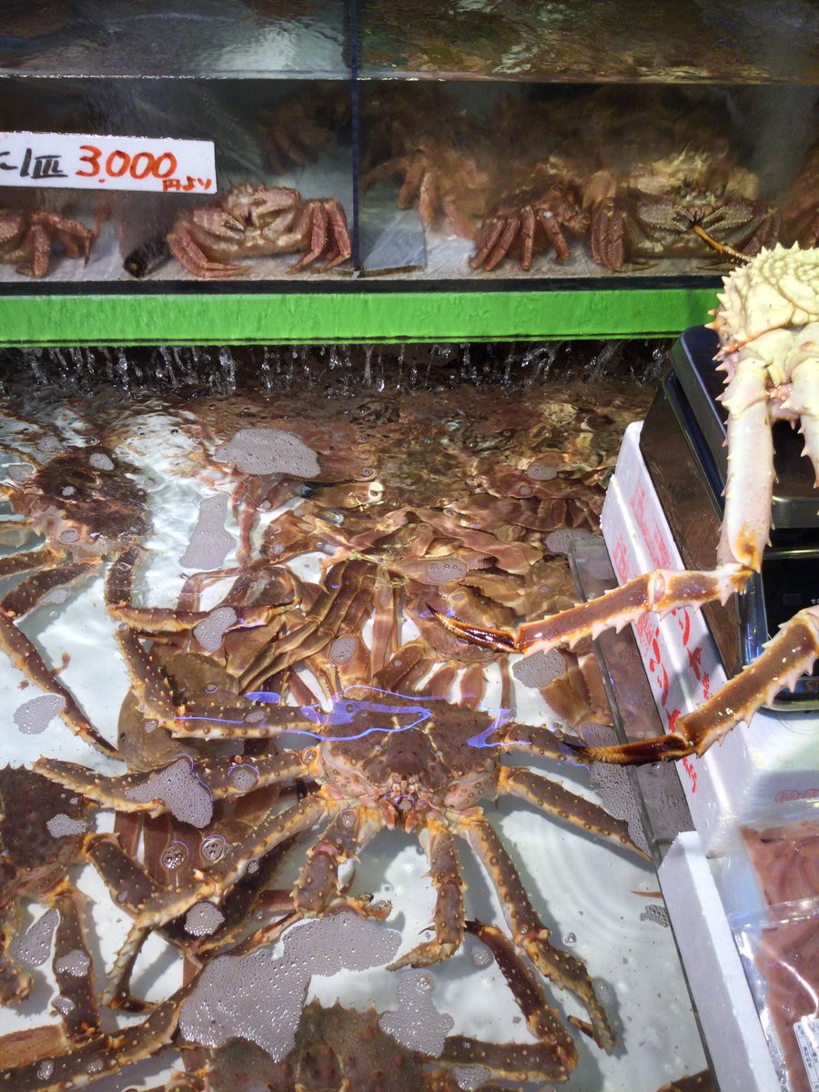 札幌暮らし 東京 北海道uターン 函館朝市のイカ釣りは行列 だいぶ観光客増えてきたかな でも 市場や金森倉庫にも店舗撤退したスペースがちらほら 北海道 函館