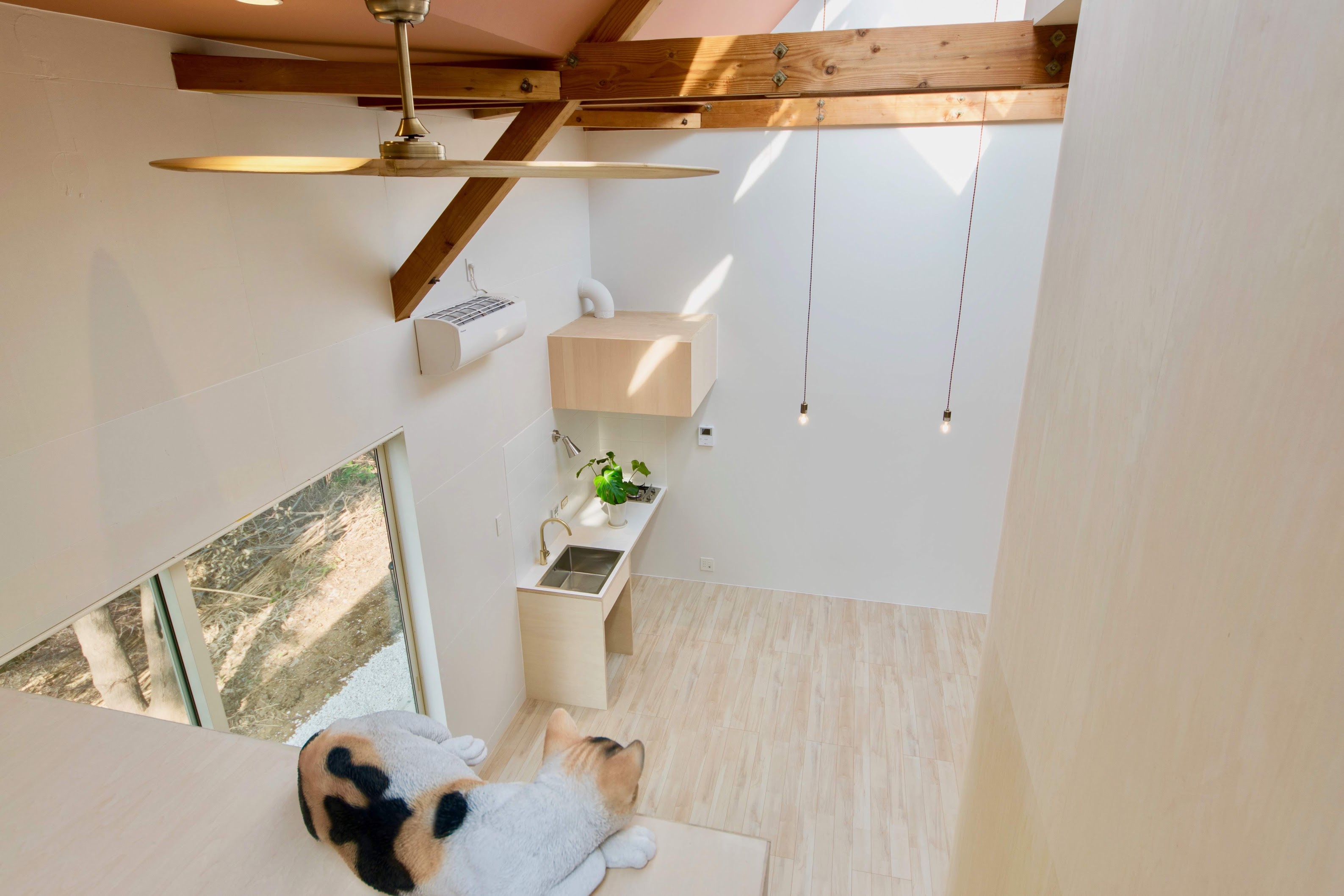 𝖦𝖺𝗍𝗈𝗌 𝖠𝗉𝗍 木津イチロウ 猫専用賃貸プロデューサー Gatos Apartment Twitter