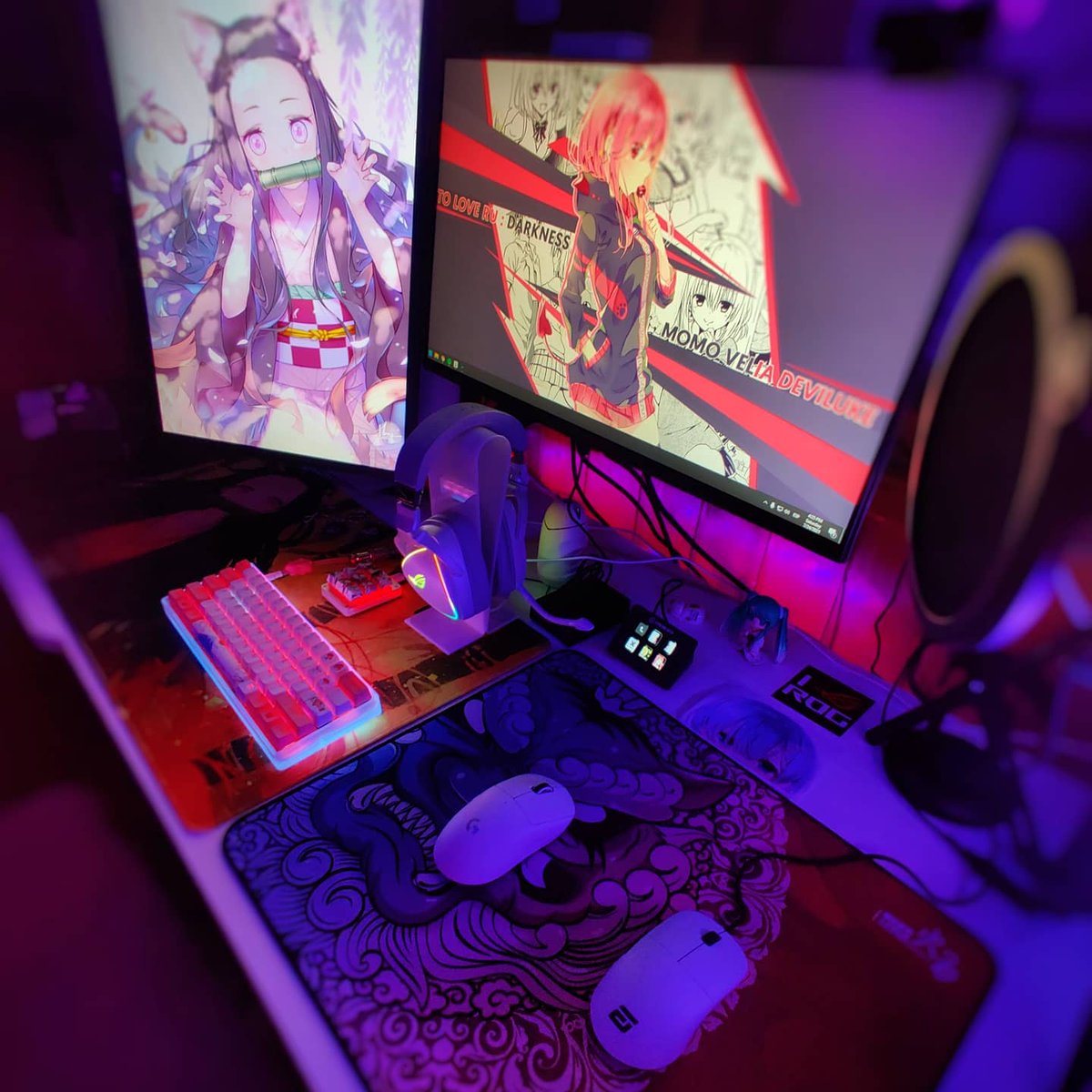 Exterminia 🇨🇱 tweet media