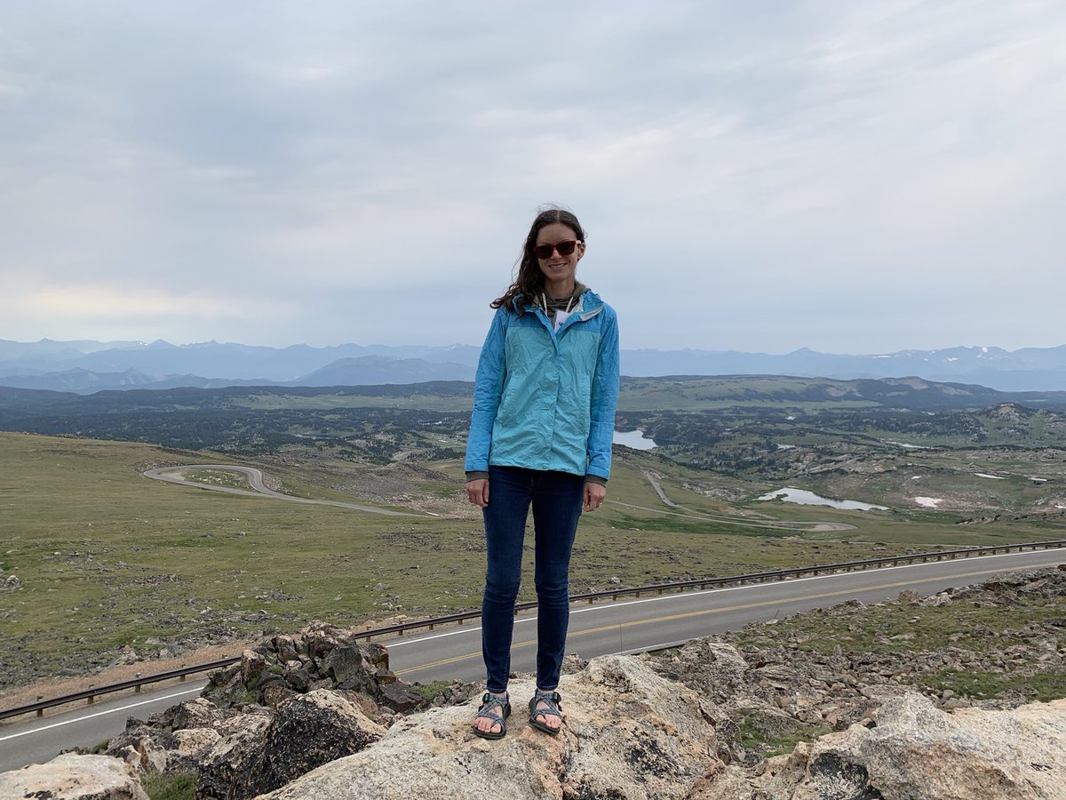 #NADEF2021 tour day pre-smoky skies, featuring scenery along the #BeartoothHighway and revisiting my dissertation site at Top of the World. Felt great to be back in the mountains and working to train the next gen of #dendros #treerings #dendrochronology