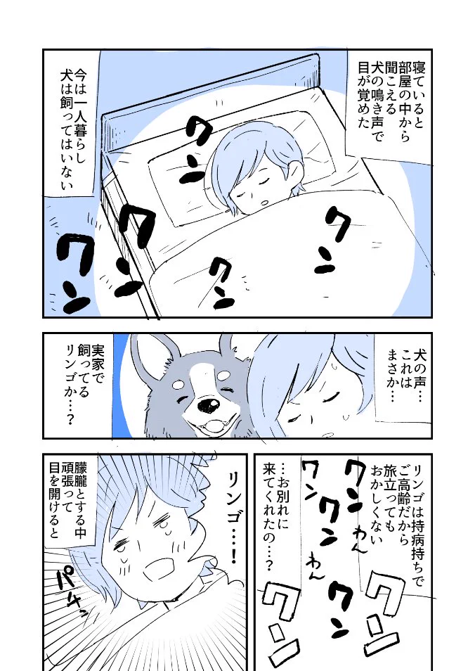 現れたのはドジっ子な犬の幽霊だった？！人から聞いたという不思議なお話を紹介したツイートが話題に！