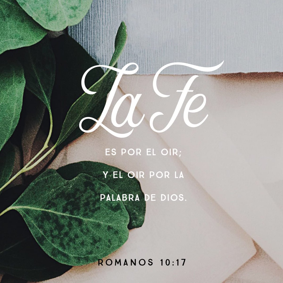energylive_p's tweet photo. Así que la fe viene como resultado de oír el mensaje, y el mensaje que se oye es la palabra de Cristo.
Romanos 10:17 NVI

https://t.co/8aRCRmXOXJ https://t.co/ursjyjwyWN