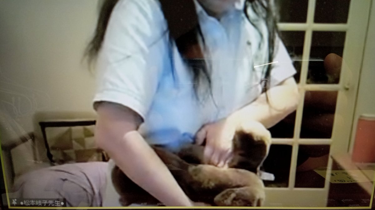 Kiiko Style研究会【関西】 (@KiikoKansai) / Posts / X