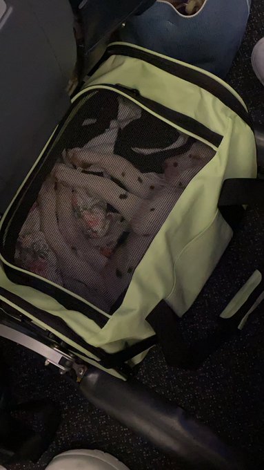 Day trip to Cleveland to pick up the new addition to the family! https://t.co/tcO3DRe5Vq