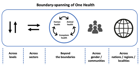 Biodiversity and COVID-19: A report and a long road ahead to avoid ano... sciencedirect.com/science/articl…