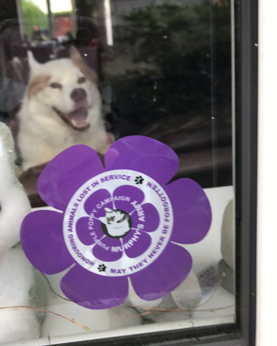 MA_PurplePoppy's tweet image. Great to show your support to the world!!! Window stickers 💜🐾💜
#Theyalsoserved #ThinBluePaw #hillsideanimals 

Window Sticker
ebay.co.uk/itm/1942484183…