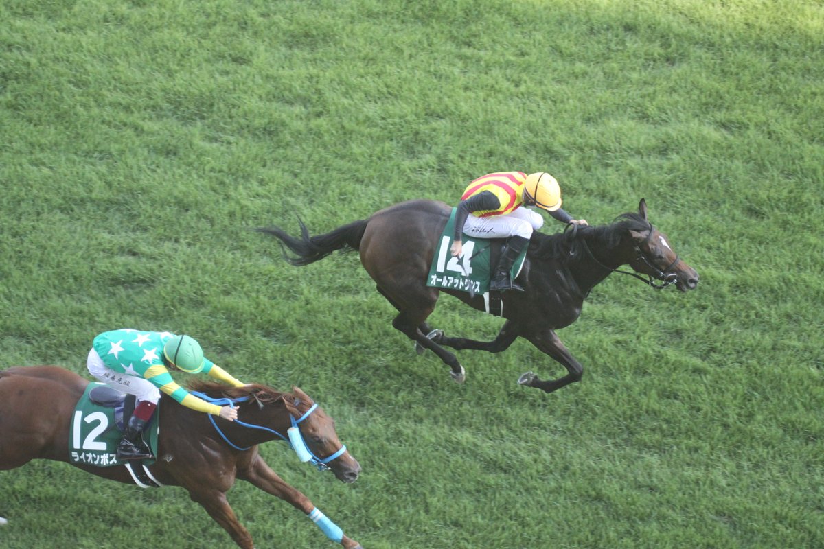 ラジオ日本 土曜 日曜競馬実況中継 On Twitter 第21回アイビスサマーダッシュ G 直線1000m 1着 オールアットワンス 石川 2着 ライオンボス 3着 バカラクイーン 3歳馬15年ぶりv