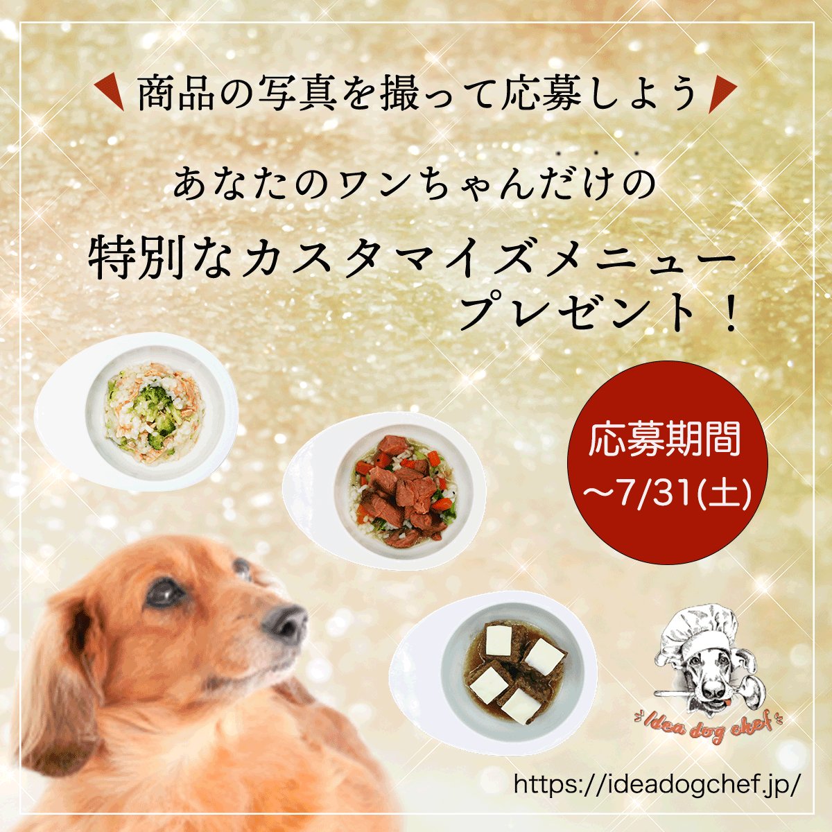 idea_dog_chef's tweet photo. 【終了直前!キャンペーンのご案内③】
カスタマイズメニュープレゼント!
応募方法
①イデアドッグシェフの商品を購入
②インスタorツイッターで@idea_dog_chefをフォロー&届いた商品の写真を投稿(@idea_dog_chef #Ideadogchef #あなたのワンちゃんだけの特別なカスタマイズメニュー をつけて投稿) https://t.co/bH51hriF1b