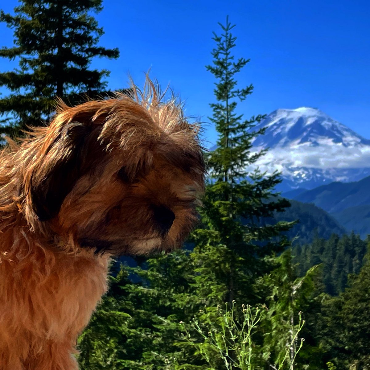 printerbill's tweet image. Coco Channel.