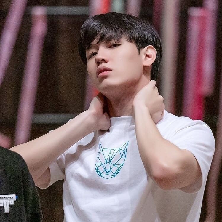 newwieecult's tweet photo. when he 😻 https://t.co/heupIKui7q
