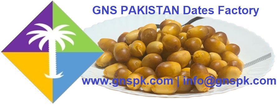 Aseel Dates in fresh form rich with natural nutrients have arrived direct from our dates farm to factory for further processing.
 #freshdates #freshaseel #freshproduce #aseeldates #organicdates #khairpur #sindh #pakistan #fruit #freshfruit #GNSDates #datesfactory #khairpurdates