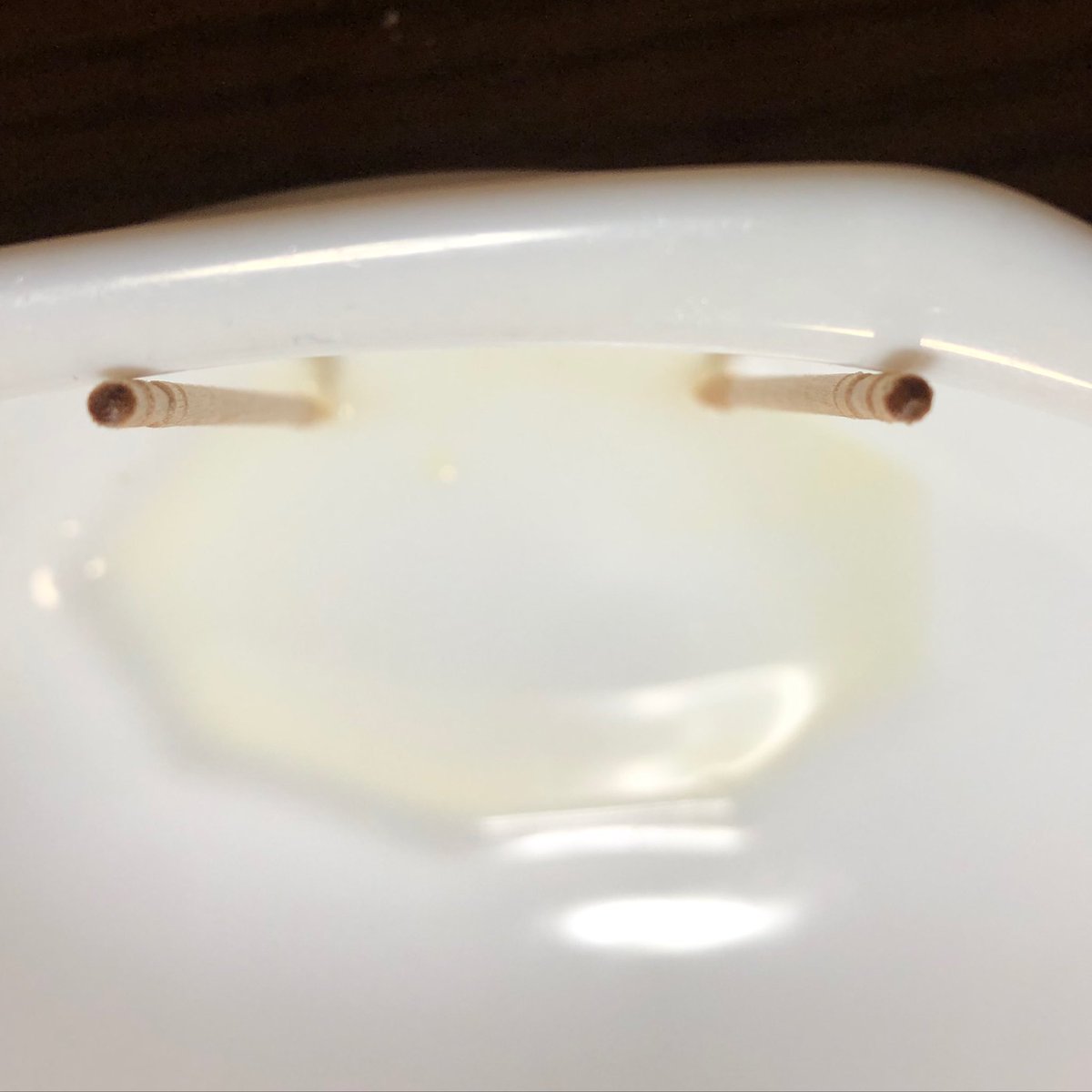 WaiNeco's tweet photo. #iseeface in #toothpics in #bowl after eating apples #iseefaces #iseefacesineverything #facesinthings #facehunter #facefinder #facespotter https://t.co/K0zVUmM9bg