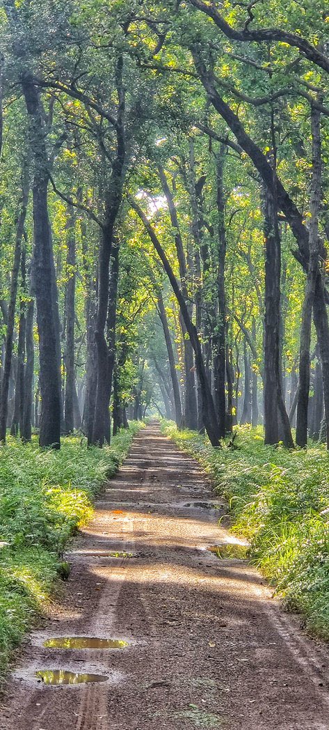 dineshdasa1's tweet photo. “Life goes on... whether you choose to move on and take a chance in the unknown. 
Or stay behind, locked in the past, thinking of what could've been.”

#SundayMotivation https://t.co/HxXKqB2A2Q