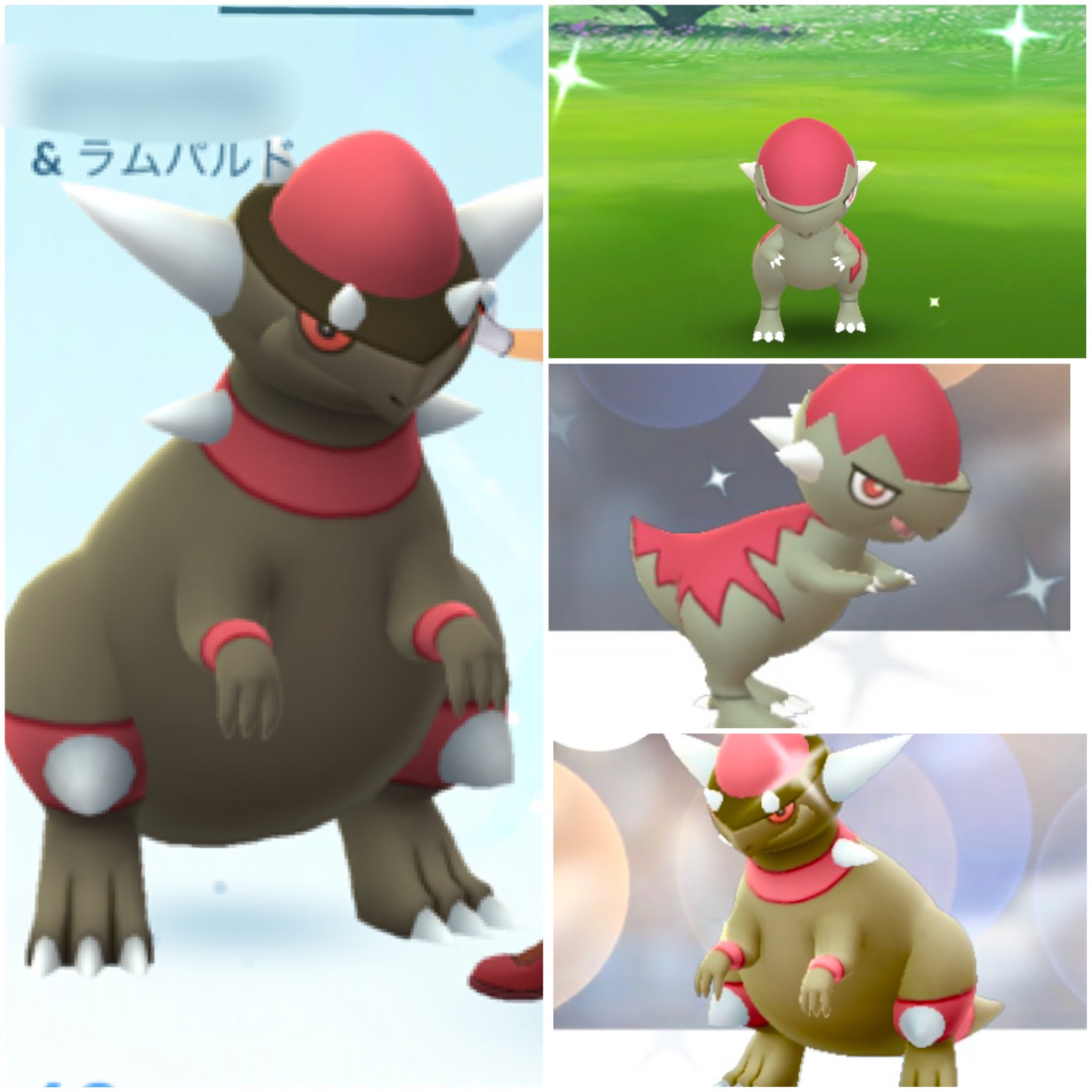 ドラッズ ズガイドスの色違いget 色ディアルガへの運をこっちに使ってしまったかも ラムパルド 微妙に猫っぽい体型が好き は前飼っていた猫 T Co Khxcmx92yd Twitter