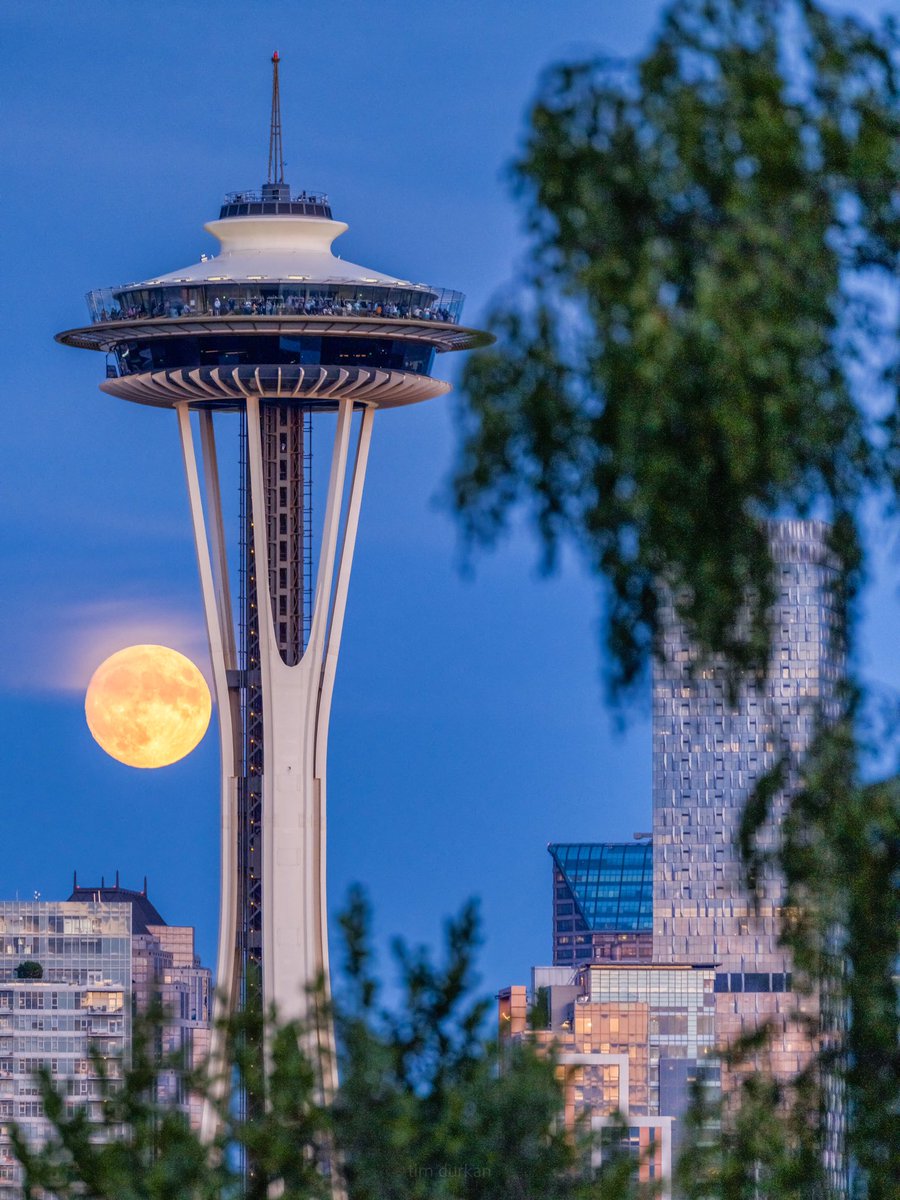 timdurkan's tweet photo. This months full moon here in Seattle also known as the #BuckMoon https://t.co/Z6lYVD0f0v