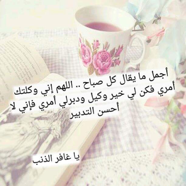 أحمد مرتضى (@smgxovrgzeaghaz) on Twitter photo 