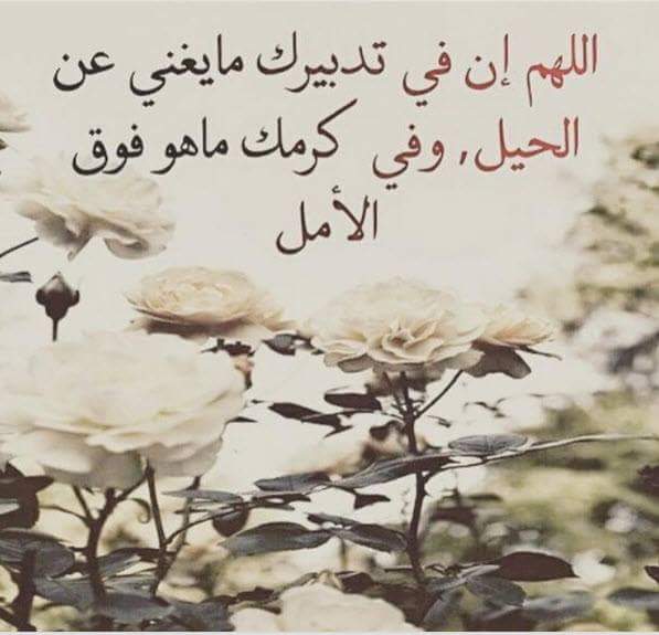 أحمد مرتضى (@smgxovrgzeaghaz) on Twitter photo 