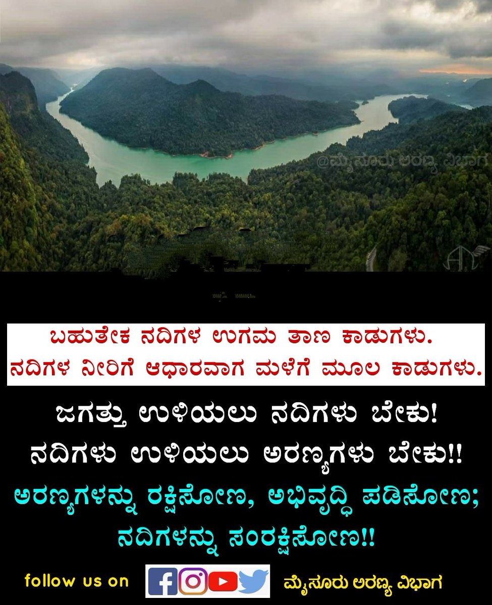 Mysore forest division tweet media