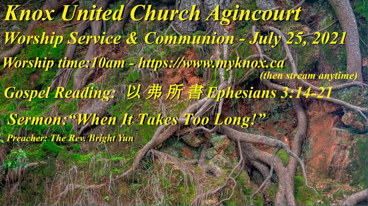 Knox United Church Agincourt tweet media