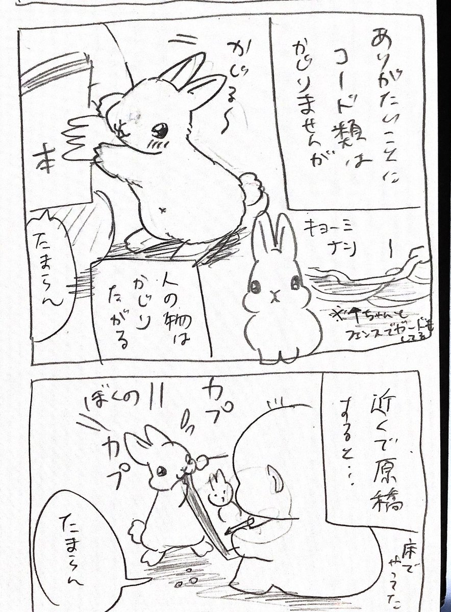 真夏のホラーうさぎ話 