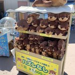 ハズレ一切なし!？どうなってもカワウソが貰える神ガチャ!