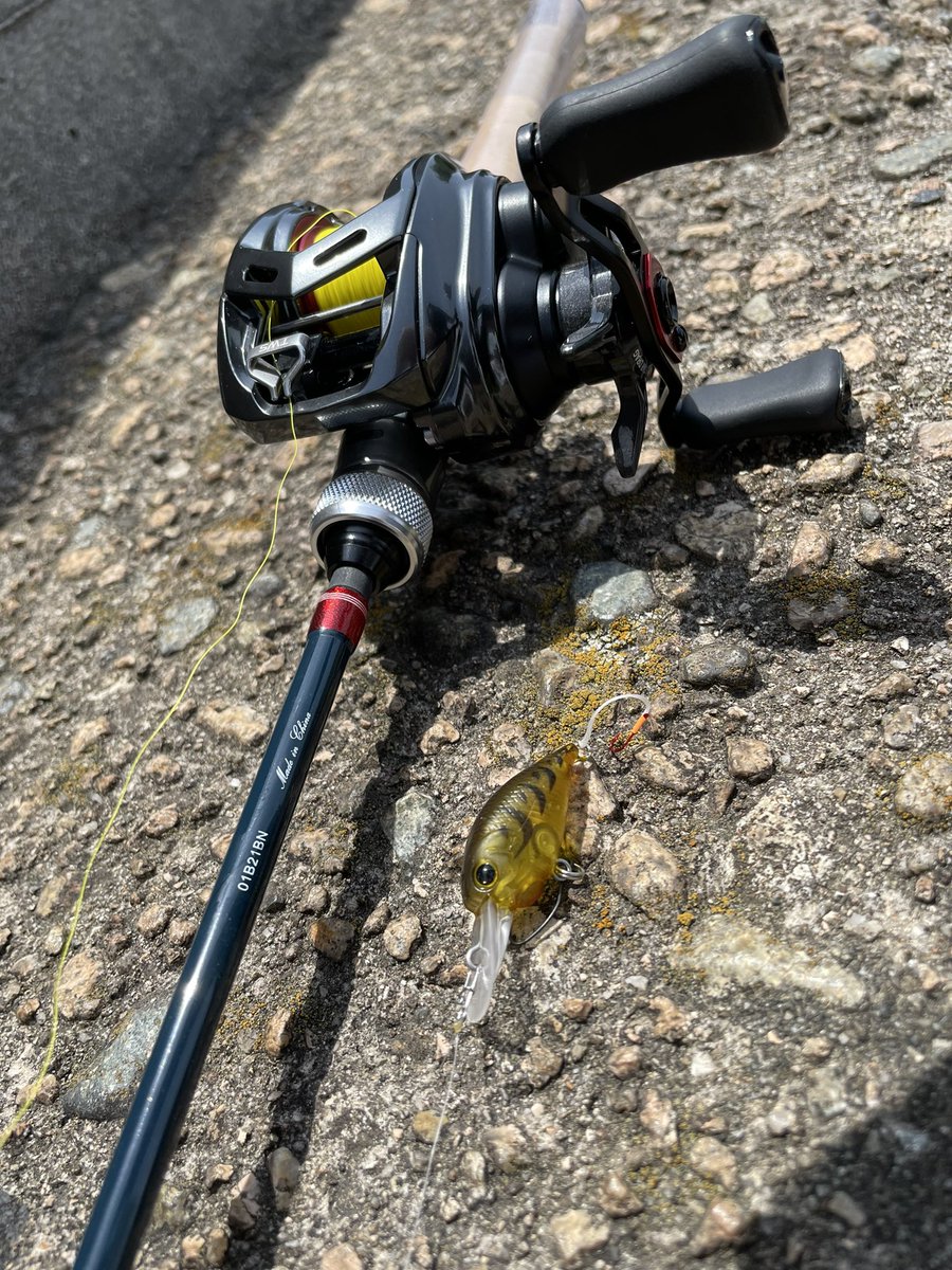 Alphas Twitter Search